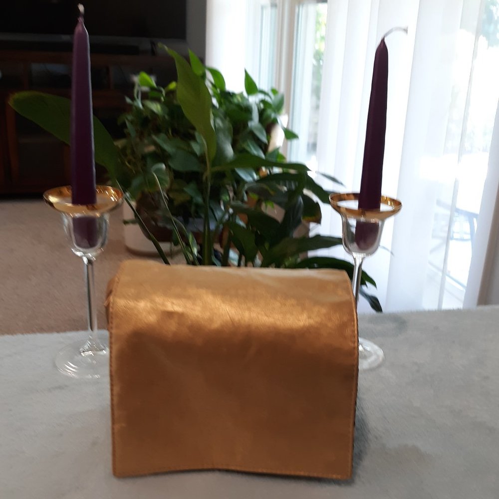 Metallic Gold Make Up Bag Travel Bag Great for a Gift
